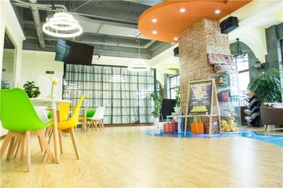 上德大象全国有多少家店？揭秘教育艺术领域的创业蓝海与辉煌版图