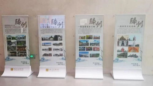 大哉乾元——滕州馆藏精品全国巡展江苏太仓站启幕，同期开展艺术舞蹈辅导服务